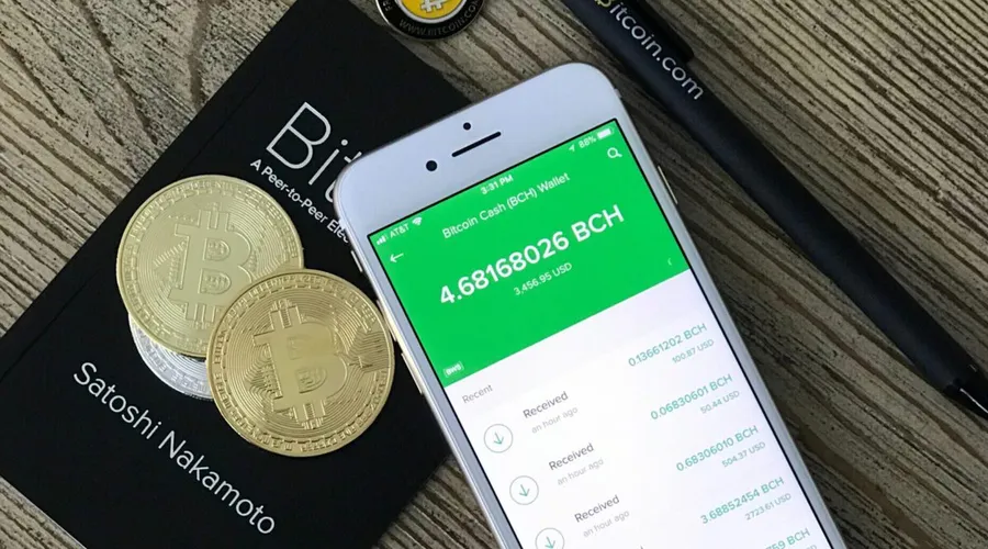 Wallet für Bitcoins: Das müssen Sie wissen